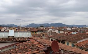 San Zanobi Nest In Central Florence